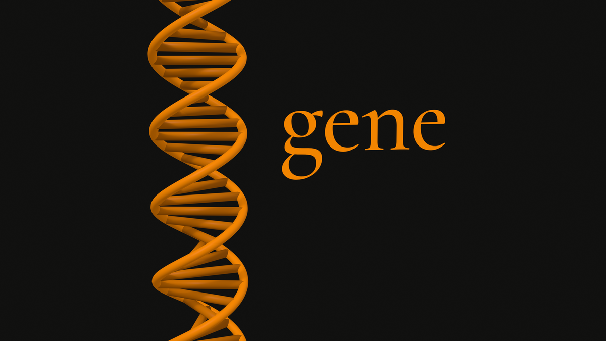 The gene wordmark in orange beside an orange DNA double helix on black.